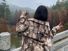 -广州市帽峰山景区