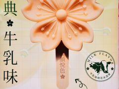 -桃花堤公园