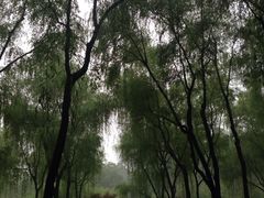 -杭州西湖桔子水晶酒店