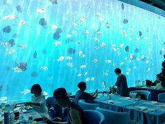 -瑞德姆美人鱼海底演艺主题餐厅(亚龙湾店)