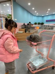 -Moni星球萌宠·小马宝莉·灵蛇·高端高阶全萌宠互动体验俱乐部(红豆国际广场店)
