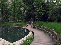 -成都市活水公园