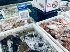 水产区-盒马鲜生(曜一城店)