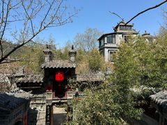 -老张烤羊(王哥庄店)