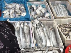 -芦潮港集贸市场