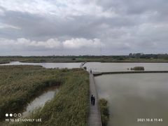-盐城丹顶鹤湿地生态旅游区