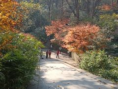 -宋宴(虎跑店)
