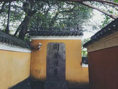 -普陀山风景区-佛顶山