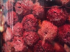 自酿杨梅-Metal hands·铁手咖啡