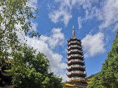 -仙岳公园