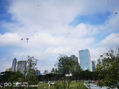 -海心沙亚运公园