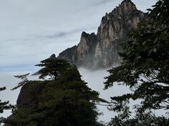 -黄山白云宾馆