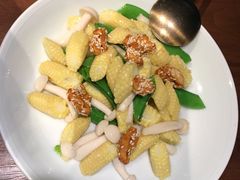 -CHIC1699远洋私厨