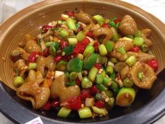 椿记烧鹅(叠彩店)-椿记烧鹅(叠彩店)
