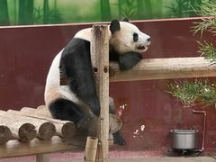 -杭州野生动物世界