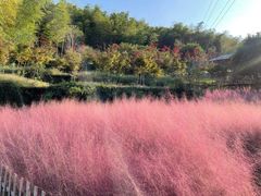 -宁波浙东大竹海景区