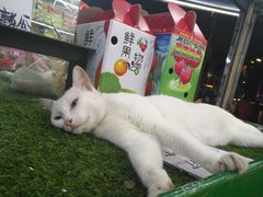 -敦煌喜宴(万达广场店)