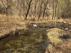 -碓臼峪自然风景区