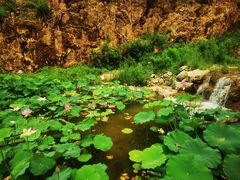 -大平台龙居瀑布旅游区