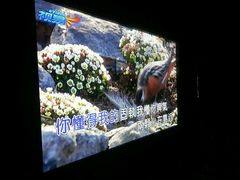 -朱古力纯K量贩式KTV(国庆中路店)