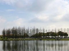 -滆湖低碳生态公园