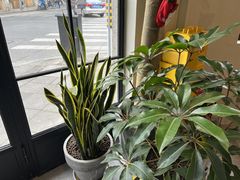 -Fridi Patisserie Cafe