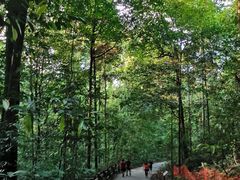 -武吉知马自然保护区