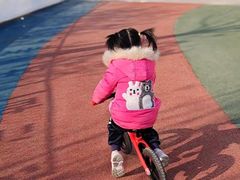 -八爪矩阵极限运动馆·儿童平衡车·感统训练(南海子公园校区)