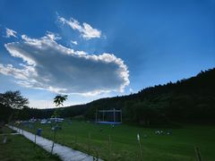 -武陵山森林公园