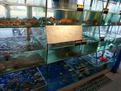 水产区-天天渔港海鲜酒家(石浦玉泉路店)