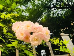 -中国中医科学院针灸医院