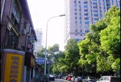 -黎黄陂路街头博物馆