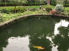 -上海虹桥宾馆味翠餐厅