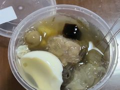 -凉凉海石花