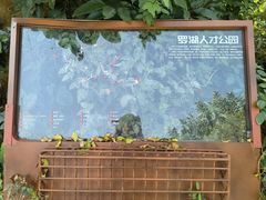 -银湖山郊野公园-相思林