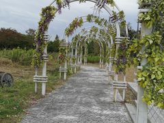 -歌斐颂巧克力小镇