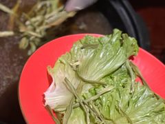 -滇野云南野生菌餐厅(陕西南路店)