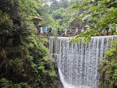 -大奇山国家森林公园