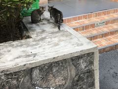 -大生体育(总店)