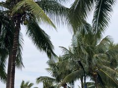 -海南鉴湖蓝湾高尔夫球会