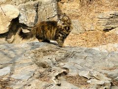 -北京西山国家森林公园