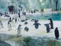 -珠海长隆海洋王国