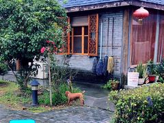 -灶头屋里