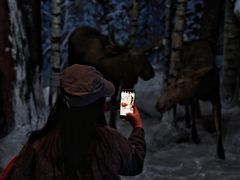 -吉林省自然博物馆