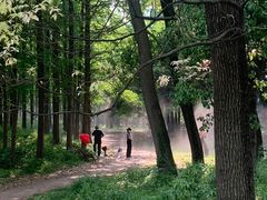 -上海共青森林公园