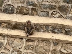 -石家庄市动物园