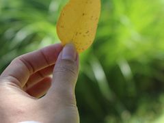 -回龙观体育文化公园