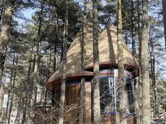 -洛阳白云山景区