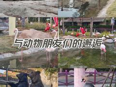 -灵玲国际马戏城