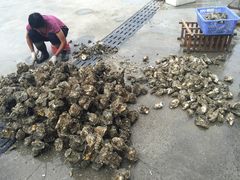 -蚝专家(北滘店)